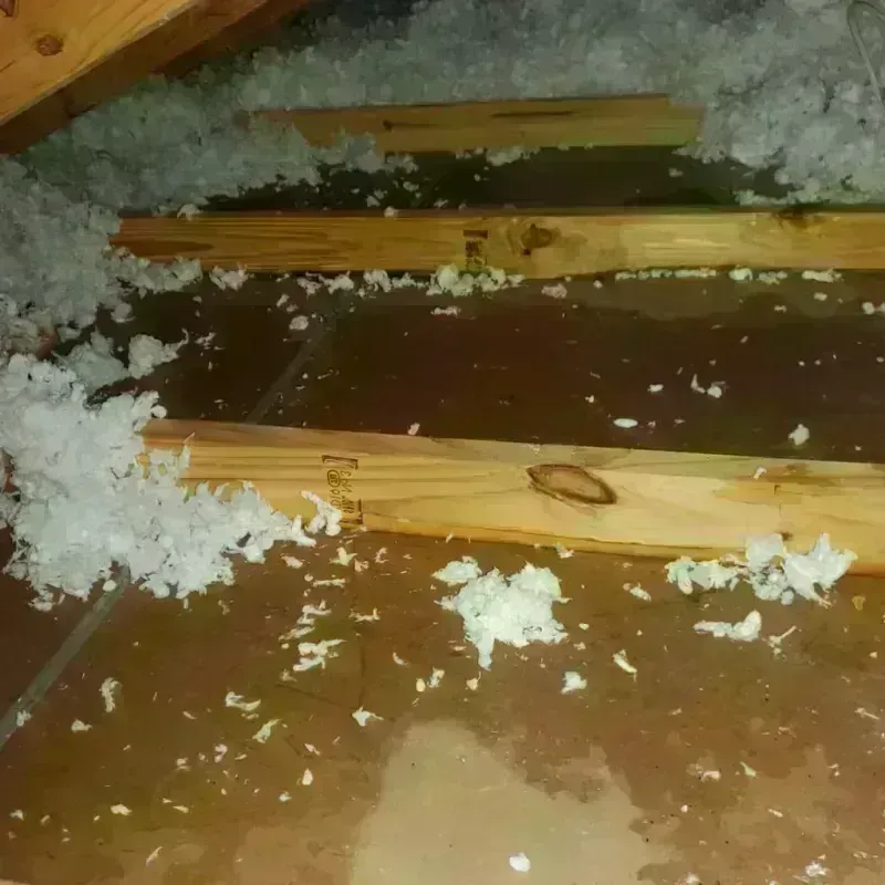 Attic Water Damage in Lincolnville, SC